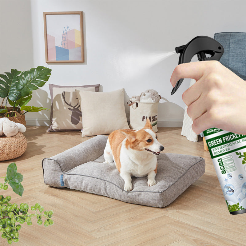 ⚡Korlátozott ideig kapható! Vásároljon 2-t, kap 1-et ingyen⚡-🧑⚕️Erős poratka-eltávolító spray