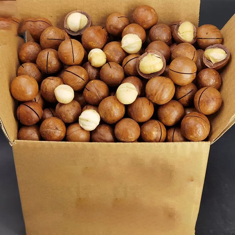150 g nassolnivaló makadámdió