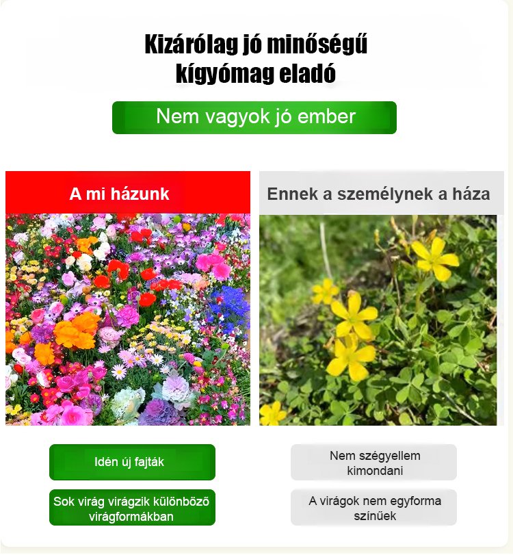 【Négyszezonos virágzás】Virágmező magkeverék