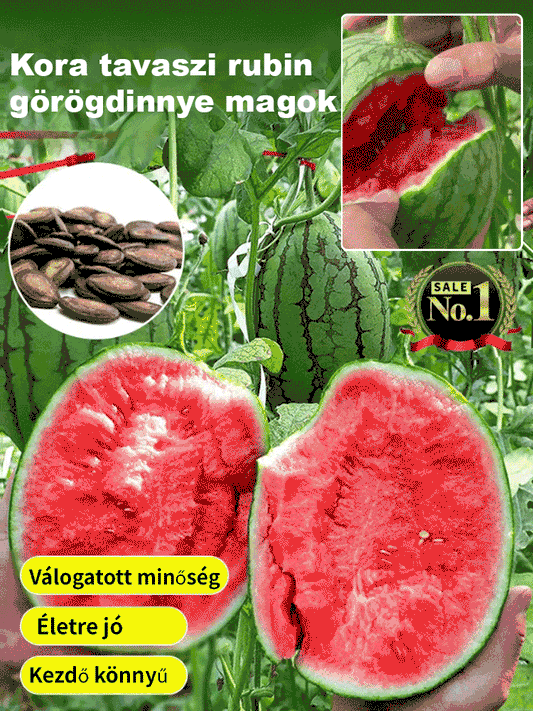 Piros jáde görögdinnye magok