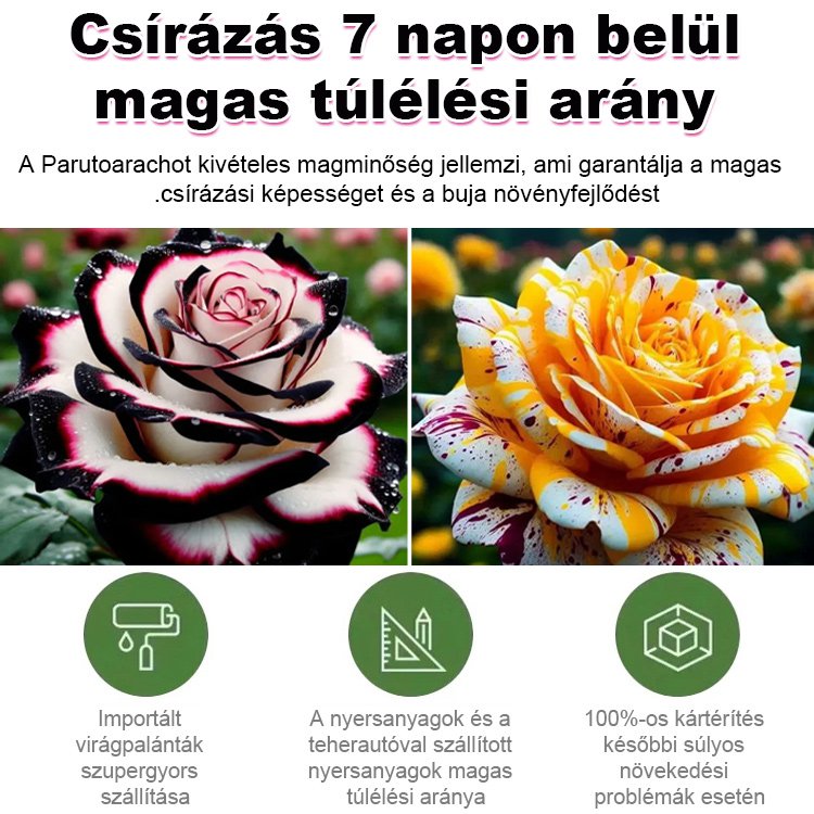 Többfejű foltos rózsa magok