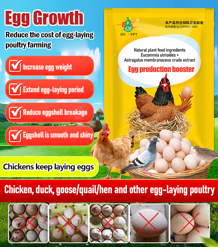 【2/4/6/8 db.】 🦆🐓Táplálékkiegészítő csirke-, kacsa- és libatojástermeléshez. Táplálékkiegészítő etetéshez.