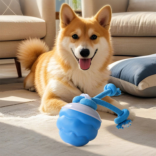 🐶Interaktív elektronikus nyugtatólabda háziállatoknak